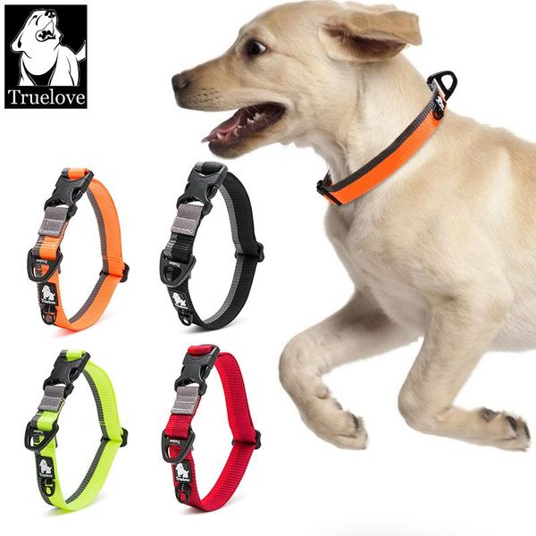 truelove dog collar nylon pet collars for small medium and big dogs neck belt training walking jogging light breathable running & leashes
truelove dog collar nylon pet collars for small medium and big dogs neck belt training walking jogging light breathable running & leashes