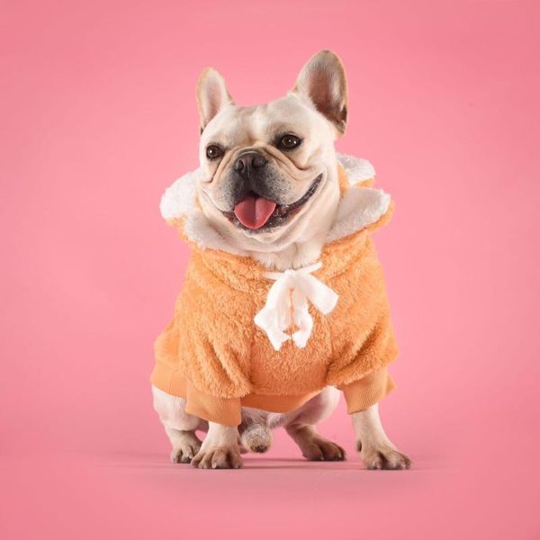 dog apparel pet tide brand law fighting sun flower sweater flowers autumn and winter warm keji shia teddy hooded clothes
dog apparel pet tide brand law fighting sun flower sweater flowers autumn and winter warm keji shia teddy hooded clothes