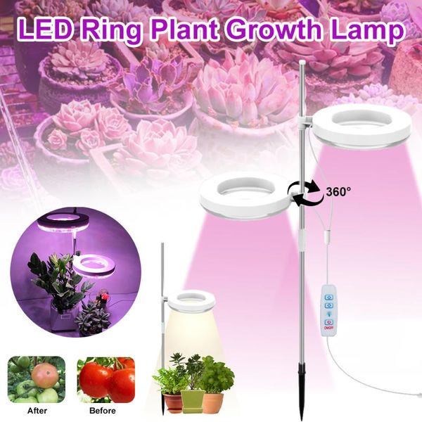 ring plant growth light indoor full-spectrum fill dimming potted green plants succulent spotlight annular lamp grow lights
ring plant growth light indoor full-spectrum fill dimming potted green plants succulent spotlight annular lamp grow lights