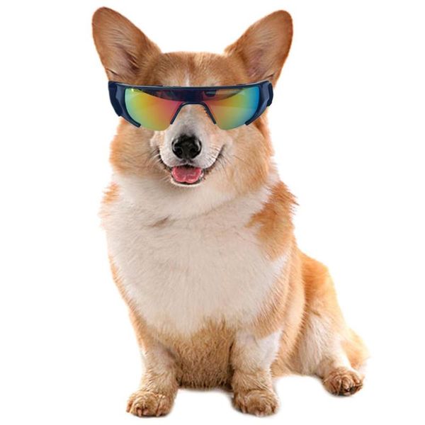 dog apparel foldable innovative small and medium-sized practical goggles protection waterproof pet sunglasses
dog apparel foldable innovative small and medium-sized practical goggles protection waterproof pet sunglasses