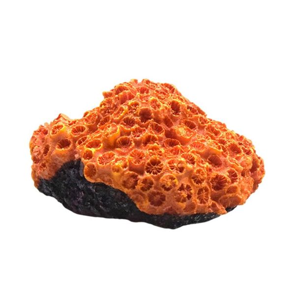 decorations 1pc aquarium coral ornament lifelike resin craft decoration fish tank landscape
decorations 1pc aquarium coral ornament lifelike resin craft decoration fish tank landscape