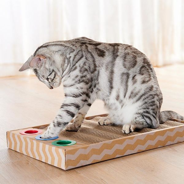 cat toys wave replaceable scratching board toy washboard with grass bell to exercise
cat toys wave replaceable scratching board toy washboard with grass bell to exercise