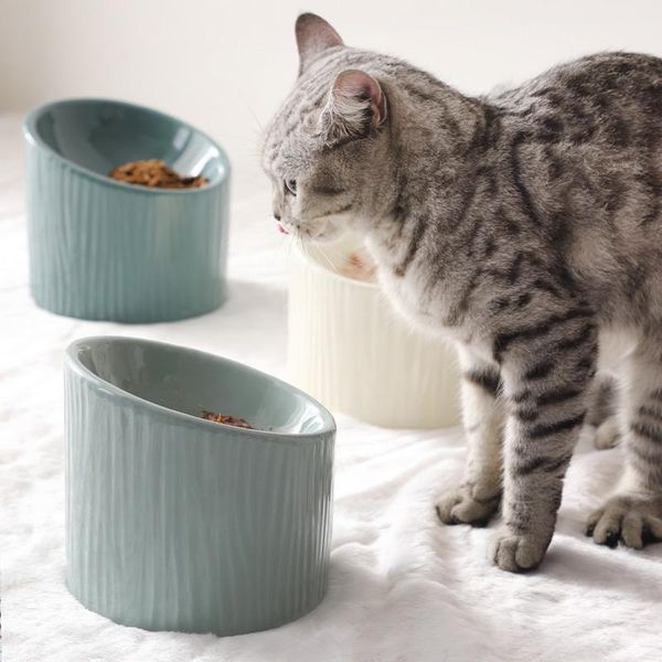 cat bowls & feeders non-slip dog ceramic drinking dish food and water bowl for puppy animal pet supplies product accessories
cat bowls & feeders non-slip dog ceramic drinking dish food and water bowl for puppy animal pet supplies product accessories