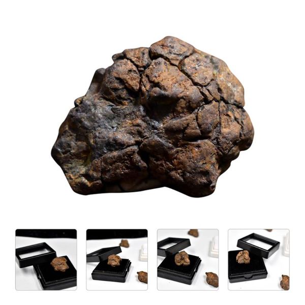 decorative objects & figurines lithosiderite specimen real meteorite from space science ornament for school
decorative objects & figurines lithosiderite specimen real meteorite from space science ornament for school