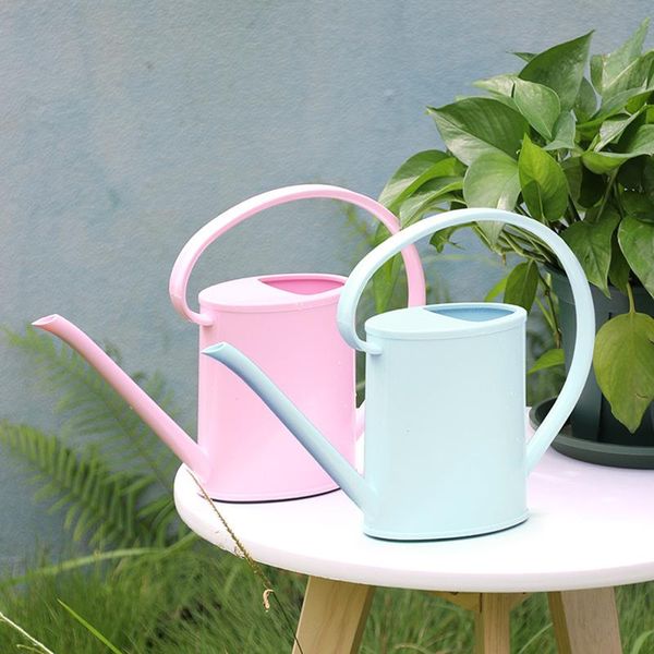 garden flower plant watering can indoor fruit for bonsai succulent plants supplies equipments
garden flower plant watering can indoor fruit for bonsai succulent plants supplies equipments