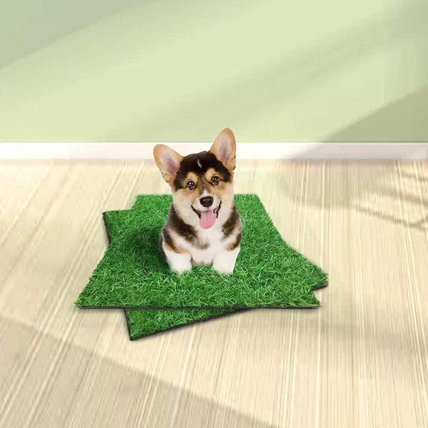 kennels & pens artificial grass turf dog puppy potty trainer bathroom replacement fake mat drainage holes use for indoor and outdoor
kennels & pens artificial grass turf dog puppy potty trainer bathroom replacement fake mat drainage holes use for indoor and outdoor
