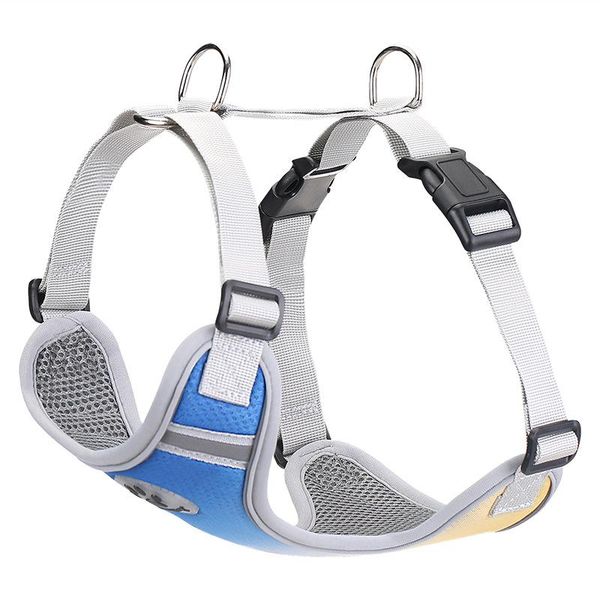 dog collars & leashes 2021 pet vest chest strap gradient color double reflective big special
dog collars & leashes 2021 pet vest chest strap gradient color double reflective big special