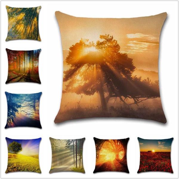 sunshine morning forest view scenic cushion cover decoration for home house sofa chair seat pillow case kids gift friend present cushion/dec
sunshine morning forest view scenic cushion cover decoration for home house sofa chair seat pillow case kids gift friend present cushion/dec