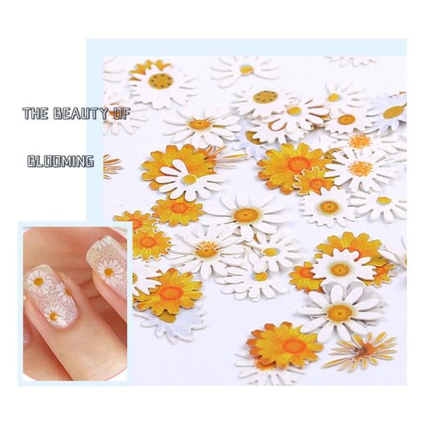 box color flower wood pulp piece daisy ins mixed nail diy accessories jewelry art supplies decorations, Silver;gold
box color flower wood pulp piece daisy ins mixed nail diy accessories jewelry art supplies decorations, Silver;gold