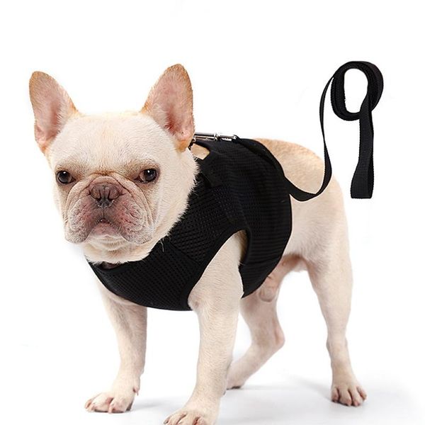 breathable mesh dog harness no pull & choke pet vest light weight anti-breakaway adjustable collars leashes
breathable mesh dog harness no pull & choke pet vest light weight anti-breakaway adjustable collars leashes