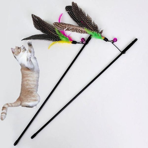 cat toys random color make a stick feather black colored pole like birds with small bell natural 1pc
cat toys random color make a stick feather black colored pole like birds with small bell natural 1pc