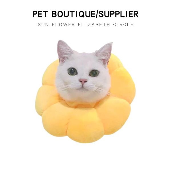 cat collars & leads pet products headgear toy anti bite ring elizabeth collar shield
cat collars & leads pet products headgear toy anti bite ring elizabeth collar shield