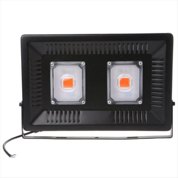 full spectrum phyto lamp 100w led waterproof ip67 plant grow light for greenhouse hydroponic plants growing lights
full spectrum phyto lamp 100w led waterproof ip67 plant grow light for greenhouse hydroponic plants growing lights