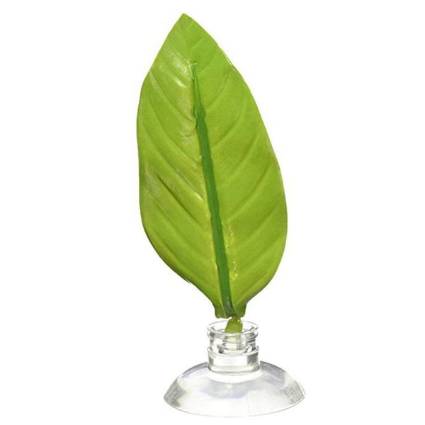 artificial leaf fish tank aquarium rest spawning ornamental plant betta play relax hide hammock decorations
artificial leaf fish tank aquarium rest spawning ornamental plant betta play relax hide hammock decorations
