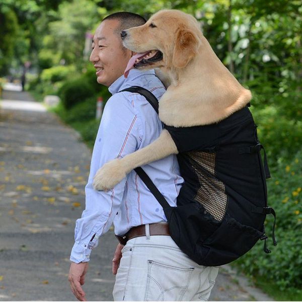backpack thinkthendo front facing pet dog carrier for bike motorcycle travel hiking
backpack thinkthendo front facing pet dog carrier for bike motorcycle travel hiking