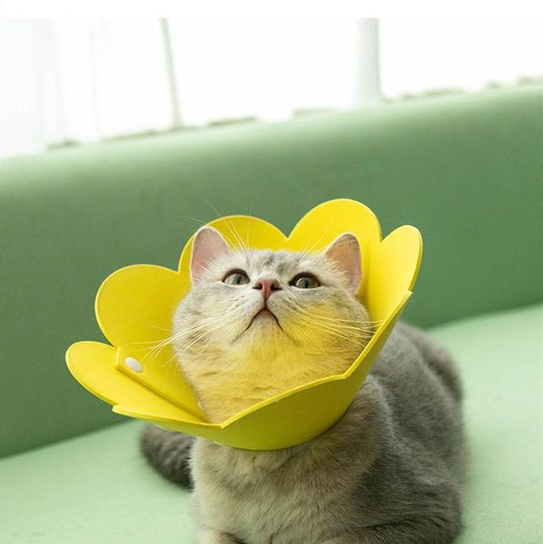 cat collars & leads pet treatment protection collar anti bite grasping licking sterilization recovery supplies
cat collars & leads pet treatment protection collar anti bite grasping licking sterilization recovery supplies
