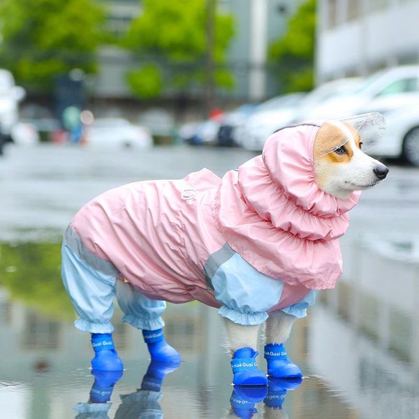 dog apparel hoopet pet cat raincoat hooded clothes waterproof rain jumpsuit for big medium small dogs golden outdoor
dog apparel hoopet pet cat raincoat hooded clothes waterproof rain jumpsuit for big medium small dogs golden outdoor