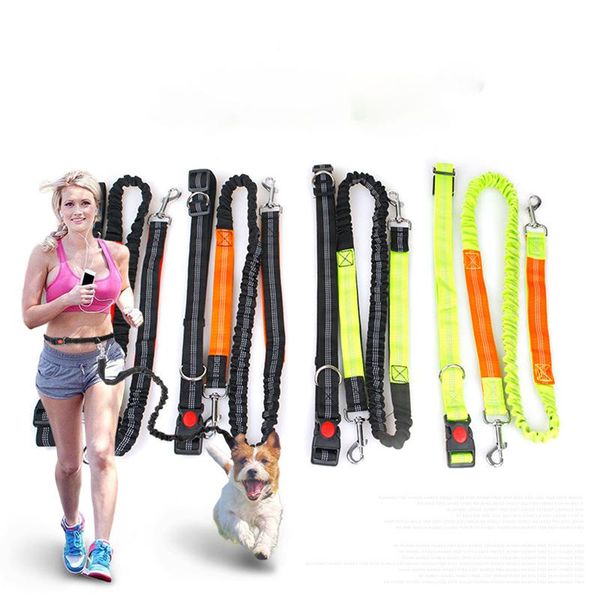dog collars & leashes pet cat running jogging padded waist belt reflective strip elastic leash perfect walking training set hands free
dog collars & leashes pet cat running jogging padded waist belt reflective strip elastic leash perfect walking training set hands free