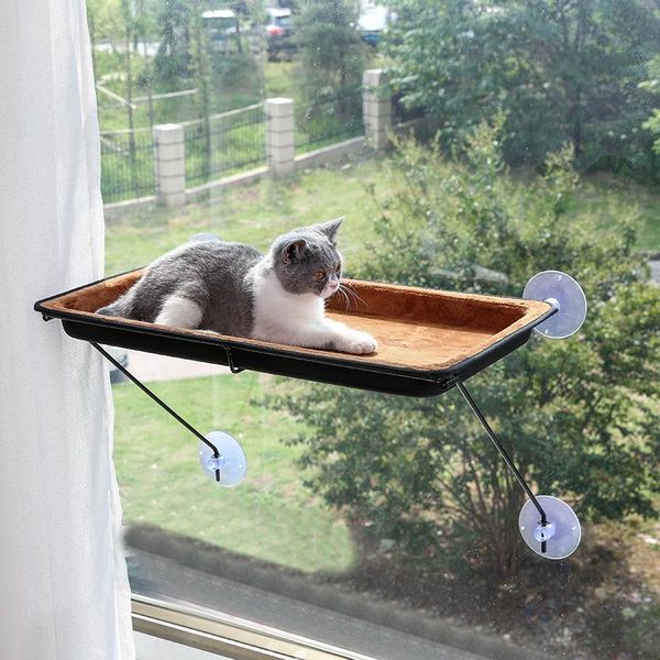cat beds & furniture suction cup hammock rectangular hanging nest cats can be used in all seasons window sill pet supplies
cat beds & furniture suction cup hammock rectangular hanging nest cats can be used in all seasons window sill pet supplies