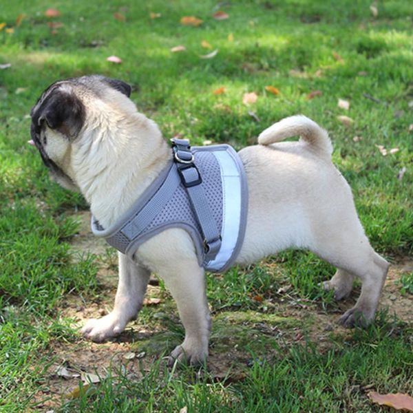 dog soft vest leash adjustable harness pet large walk out collar hand strap for small medium dogs collars & leashes
dog soft vest leash adjustable harness pet large walk out collar hand strap for small medium dogs collars & leashes