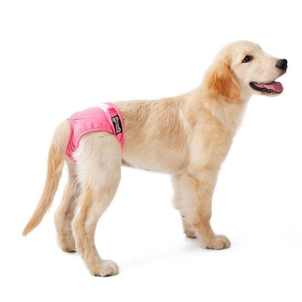 dog apparel 3pcs washable female cat leak proof waterproof small large pet premium diapers
dog apparel 3pcs washable female cat leak proof waterproof small large pet premium diapers