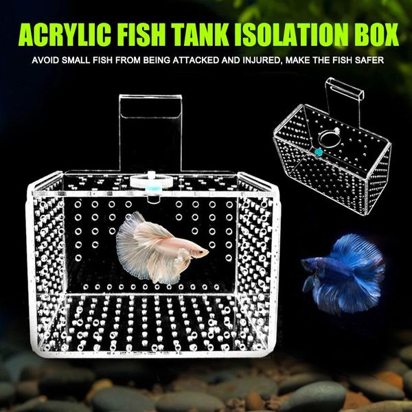 aquariums arcylic aquarium fish tank isolation box breeding separation incubating young c1
aquariums arcylic aquarium fish tank isolation box breeding separation incubating young c1