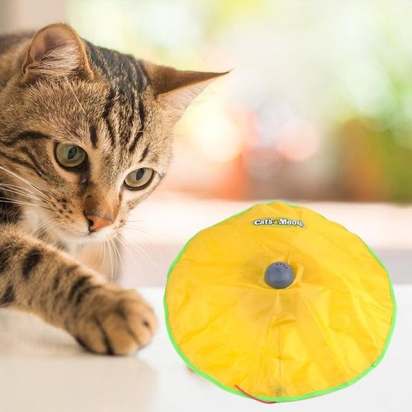 cat toys electric toy 4 speed pet plastic turntable interactive intelligence crazy amusement game rotation
cat toys electric toy 4 speed pet plastic turntable interactive intelligence crazy amusement game rotation