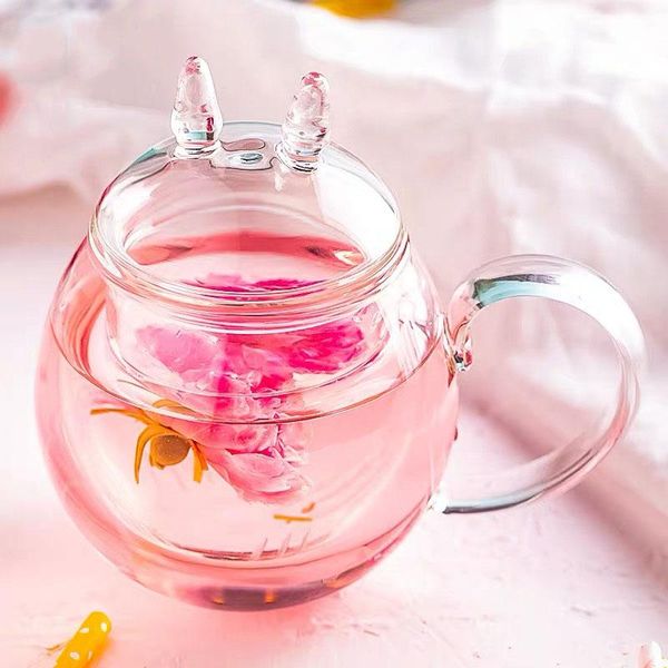 wine glasses mug for tea large pots glass cup cute transparent vase kawaii cat with lid tumbler
wine glasses mug for tea large pots glass cup cute transparent vase kawaii cat with lid tumbler