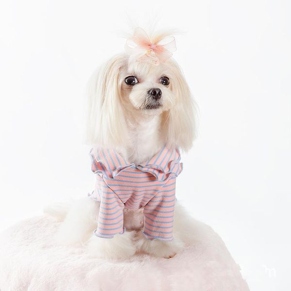 dog strip cotton shirts for small clothes dogs pug dress pet t shirt para perro apparel
dog strip cotton shirts for small clothes dogs pug dress pet t shirt para perro apparel