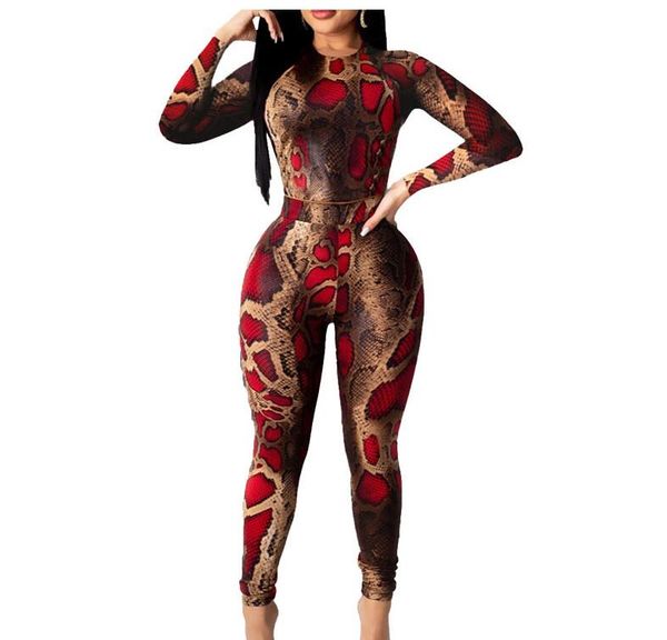 new women's european and american slim tight snake print long-sleeved trousers two-piece suit, Gray
new women's european and american slim tight snake print long-sleeved trousers two-piece suit, Gray