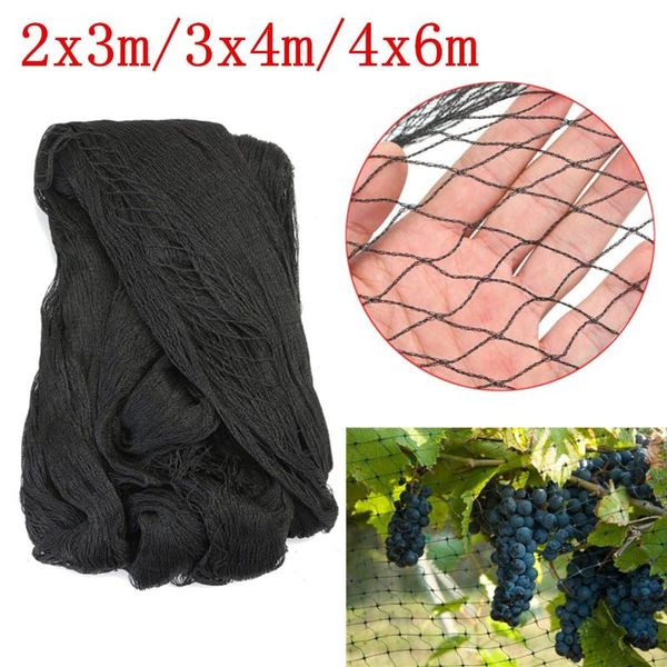 craft tools grid farm garden transparent polyethylene anti-bird net balcony fruit tree safety protect pond crops plant cover mesh
craft tools grid farm garden transparent polyethylene anti-bird net balcony fruit tree safety protect pond crops plant cover mesh