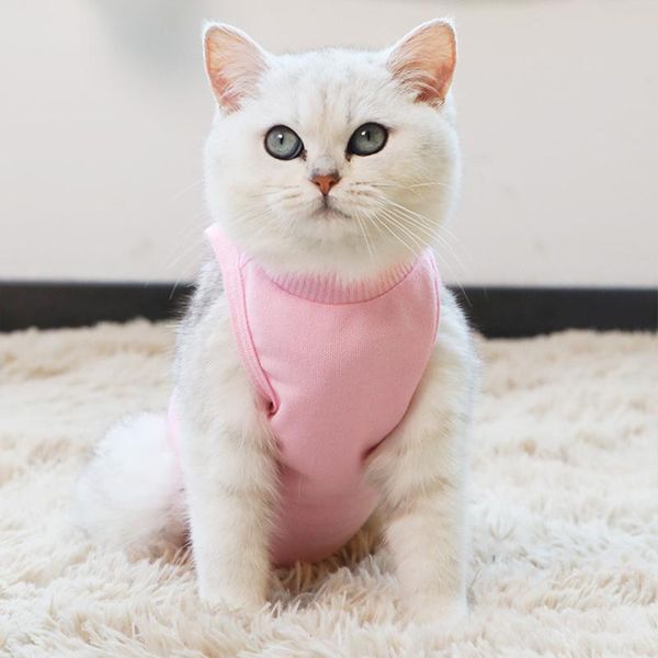 pet cat clothes anti-off anti-bite breathable recovery cloth posrative vest prevent lick after coat for supplies costumes
pet cat clothes anti-off anti-bite breathable recovery cloth posrative vest prevent lick after coat for supplies costumes