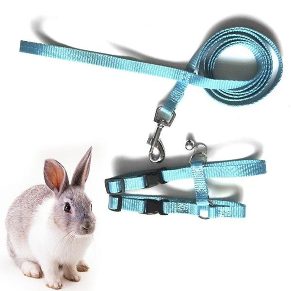 dog collars & leashes pet nylon leash breathable puppy training outdoors traction rope walking leading collar
dog collars & leashes pet nylon leash breathable puppy training outdoors traction rope walking leading collar