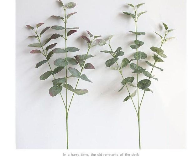 decorative flowers & wreaths 2021 artificial silver dollar eucalyptus leaf for silk household store dest rustic decoration clover plant
decorative flowers & wreaths 2021 artificial silver dollar eucalyptus leaf for silk household store dest rustic decoration clover plant