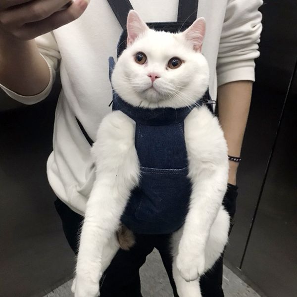 out carrying pet dog teddy bear summer breathable chest backpack back cat bag
out carrying pet dog teddy bear summer breathable chest backpack back cat bag