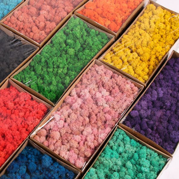 natural dried grass eternal life moss for wedding wall landscape christmas autumn home garden decor artificial plant colour
natural dried grass eternal life moss for wedding wall landscape christmas autumn home garden decor artificial plant colour