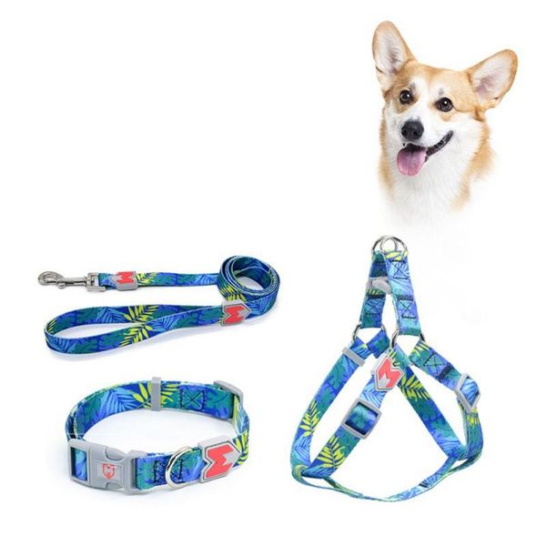 dog chest strap is suitable for small and medium sized dogs with a three-piece 2 collars & leashes
dog chest strap is suitable for small and medium sized dogs with a three-piece 2 collars & leashes