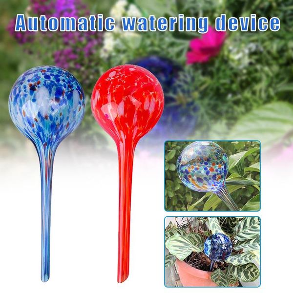 watering equipments plant globes automatic globe mini decorative hand-blown glass small tool nw
watering equipments plant globes automatic globe mini decorative hand-blown glass small tool nw