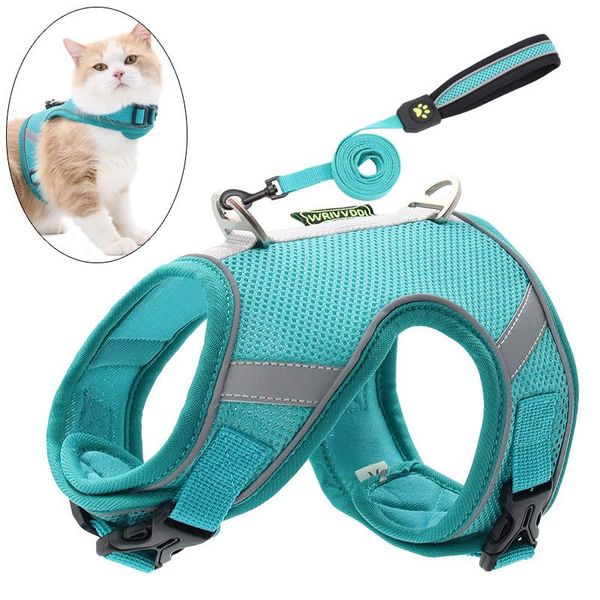 cat collars & leads cozy padded harness and leash set outdoor walking pet harnesses for cats gotas accessories puppy sphynx mascotas supplie
cat collars & leads cozy padded harness and leash set outdoor walking pet harnesses for cats gotas accessories puppy sphynx mascotas supplie