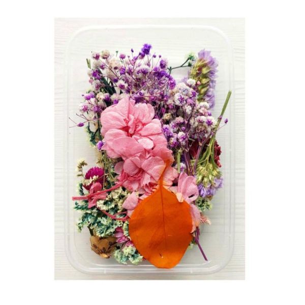 decorative flowers & wreaths 1 box real dried flower dry plants for candle epoxy resin pendant necklace jewelry making craft di
decorative flowers & wreaths 1 box real dried flower dry plants for candle epoxy resin pendant necklace jewelry making craft di