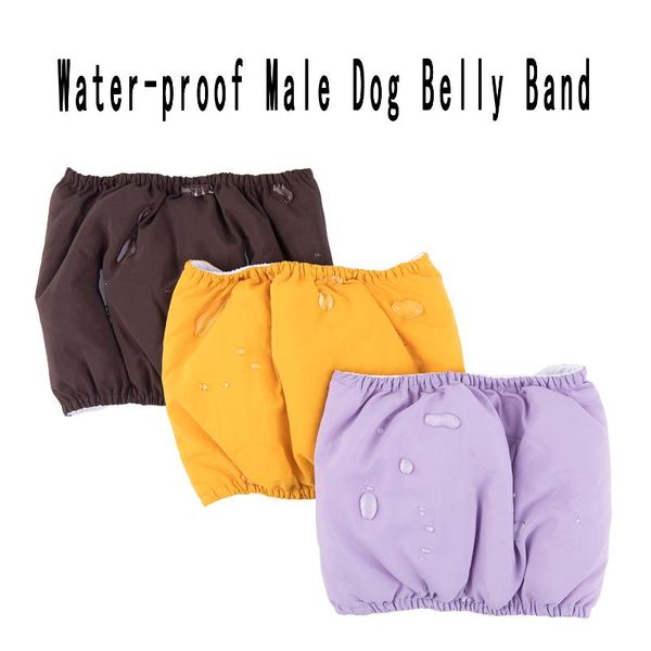 dog apparel reusable male pet nappy pants waterproof breathable menstrual pant cotton physiological belly band shorts supplies
dog apparel reusable male pet nappy pants waterproof breathable menstrual pant cotton physiological belly band shorts supplies