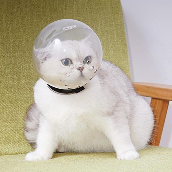cat costumes pet anti-licking protective space hood anti bite breathable grooming muzzle mask muzzles bath beauty
cat costumes pet anti-licking protective space hood anti bite breathable grooming muzzle mask muzzles bath beauty
