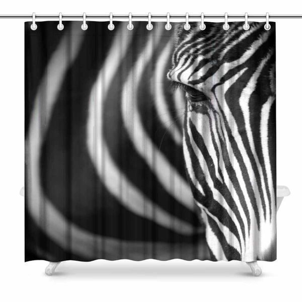 shower curtains aplysia face of grevy's zebra fabric bathroom curtain set 72 x inches
shower curtains aplysia face of grevy's zebra fabric bathroom curtain set 72 x inches