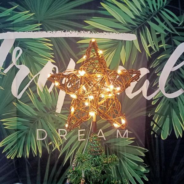 christmas decorations tree er led five-pointed star shaped decorative lights decoration string with remote control
christmas decorations tree er led five-pointed star shaped decorative lights decoration string with remote control