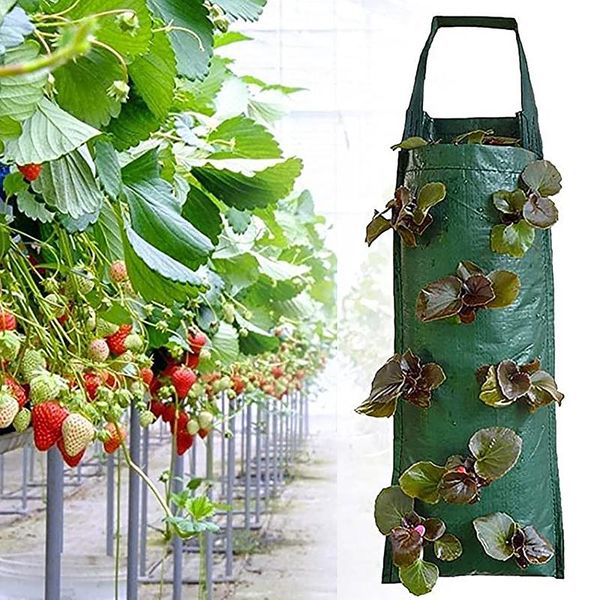 planters & pots multi-mouth strawberry bag planter pe fabrics pot green container hanging vertical durable non-woven gardening tool grow
planters & pots multi-mouth strawberry bag planter pe fabrics pot green container hanging vertical durable non-woven gardening tool grow