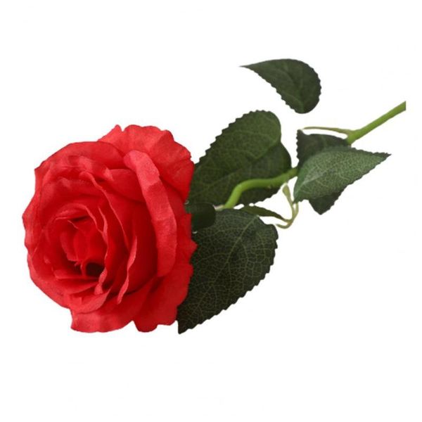 decorative flowers & wreaths portable great diy simulation rose flower supplies practical artificial vivid for living room
decorative flowers & wreaths portable great diy simulation rose flower supplies practical artificial vivid for living room