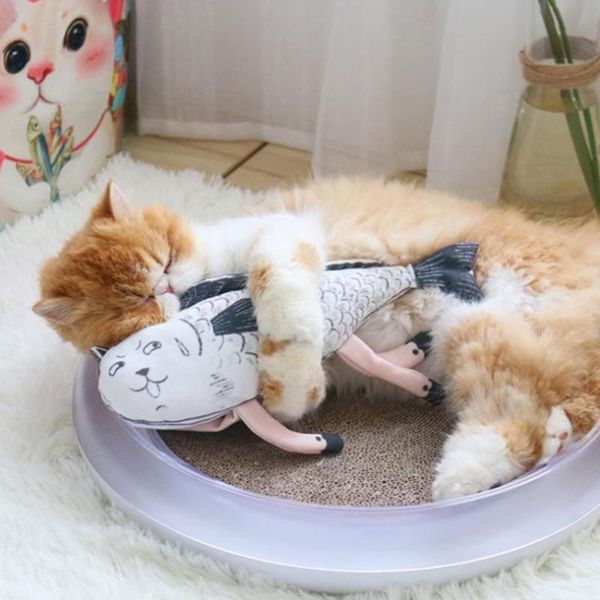cat toys fish shape toy funny exercise scratch play playing training tool interactive chew
cat toys fish shape toy funny exercise scratch play playing training tool interactive chew