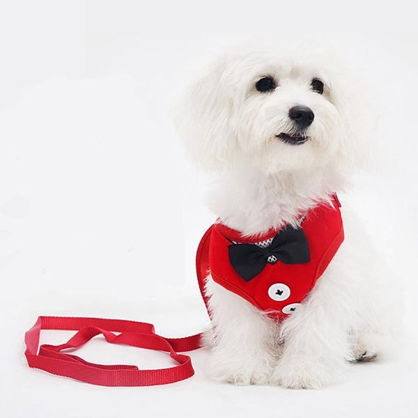 soft comfortable pet harnesses no pull adjustable lovely dog vest 7 colors waterproof dogs leash outdoor walking for puppy cool collars & le
soft comfortable pet harnesses no pull adjustable lovely dog vest 7 colors waterproof dogs leash outdoor walking for puppy cool collars & le