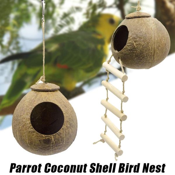 party favor natural wooden parrots toys coconut nests shell wood handmade house birds for dc120
party favor natural wooden parrots toys coconut nests shell wood handmade house birds for dc120