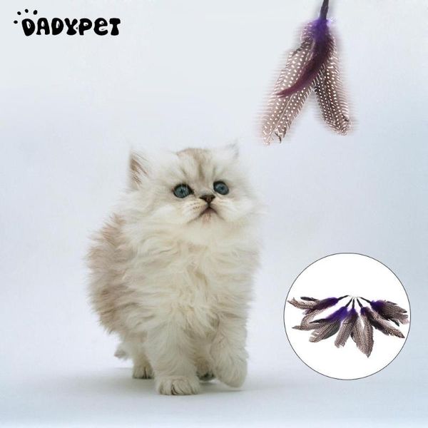 luxury extendable pet kitten cat feather teaser wand rod + 7pcs colorful natural long toy set toys
luxury extendable pet kitten cat feather teaser wand rod + 7pcs colorful natural long toy set toys